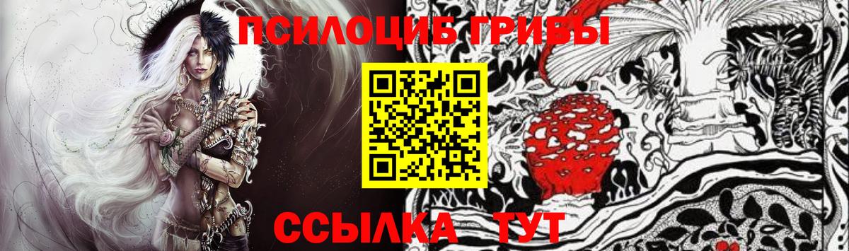 Красногорск  Псилоцибиновые грибы мухоморы  Галлюциногенные грибы Psilocybe  Вход с VPN 